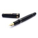 Leonardo Fountain Pen - Momento Magico (Stainless Steel) - Black Matte - New Edition (2022)