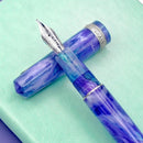 Leonardo × @nibsandflourishes Aster Bouquet Fountain Pen