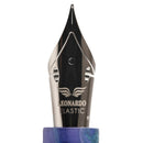 Leonardo × @nibsandflourishes Aster Bouquet Fountain Pen