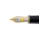 Pelikan Nib E1000 Two Tone 18K Gold - EndlessPens