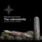 Tailored Pen Company Fountain Pen - Labradorite - Limited Edition - Endless Exclusive (2022)