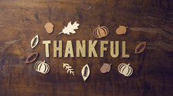 Thanksgiving: Combining a Tradition of Gratitude With Creativity | EndlessPens