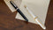 Best Entry-Level Gold Nibbed Fountain Pen