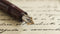 Best Ink for Vintage Fountain Pens