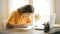 International Students’ Day: Writing the Future Together | EndlessPens