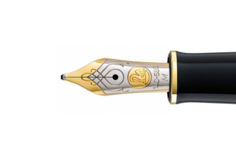 Fountain Pens with the Softest Gold Nibs | EndlessPens