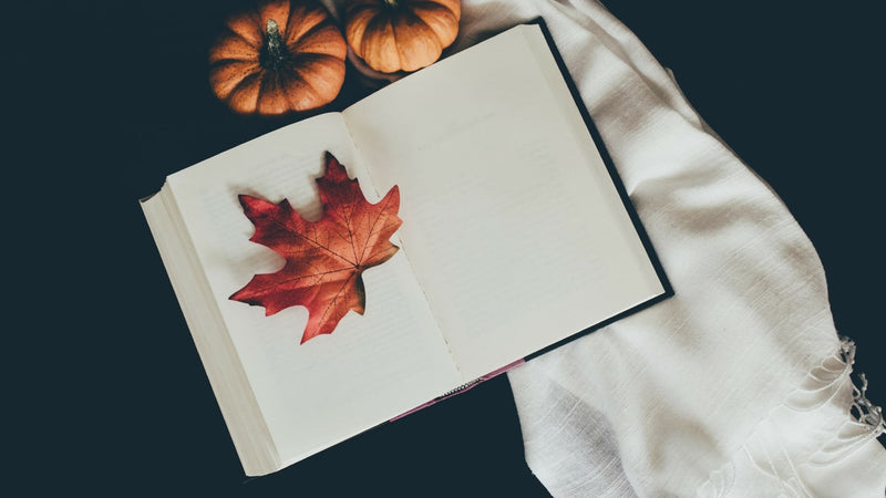 Spooky Season Journaling: Getting Into the Halloween Spirit | EndlessPens