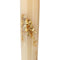 BENU Fountain Pen - Euphoria - Golden Beach