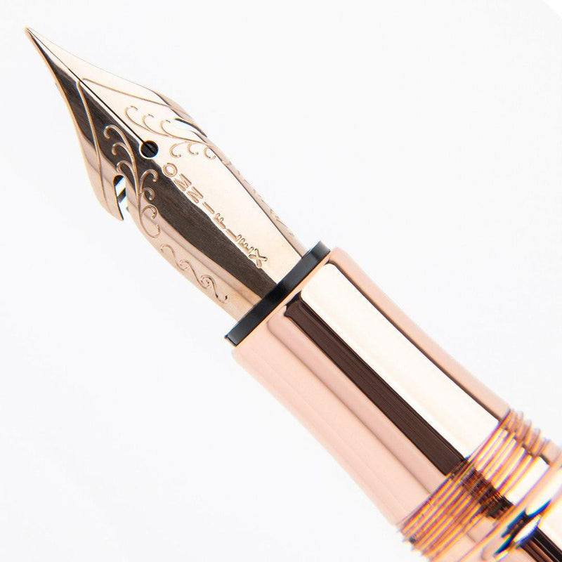 Conklin Endura Deco Crest Blue Fountain Pen - Pen Nib Close Up View | EndlessPens