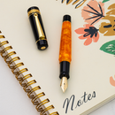 Delta Fountain Pen - DV Original Mini