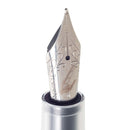 Fine Writing International Fountain Pen - Demonstrator - Nib