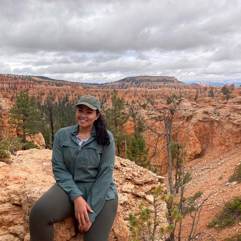 @scientificallyengineered