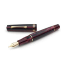 Leonardo Fountain Pen - Momento Zero (Stainless Steel) - Prugna (Prune)