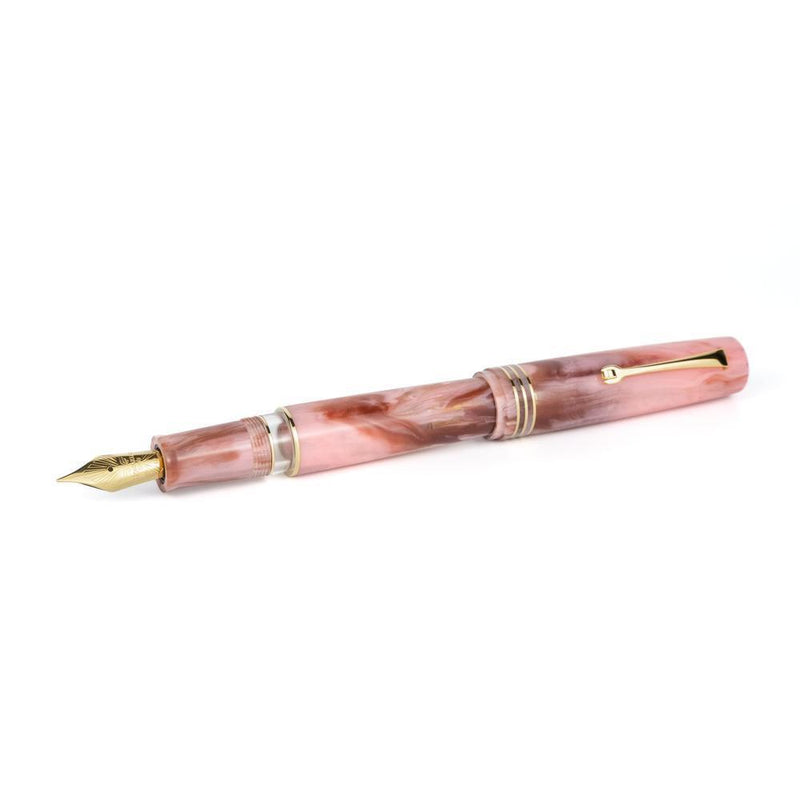 Leonardo × @karynalovestoplan - Momento Zero Grande 2.0 Winter Sunrise Fountain Pen Set