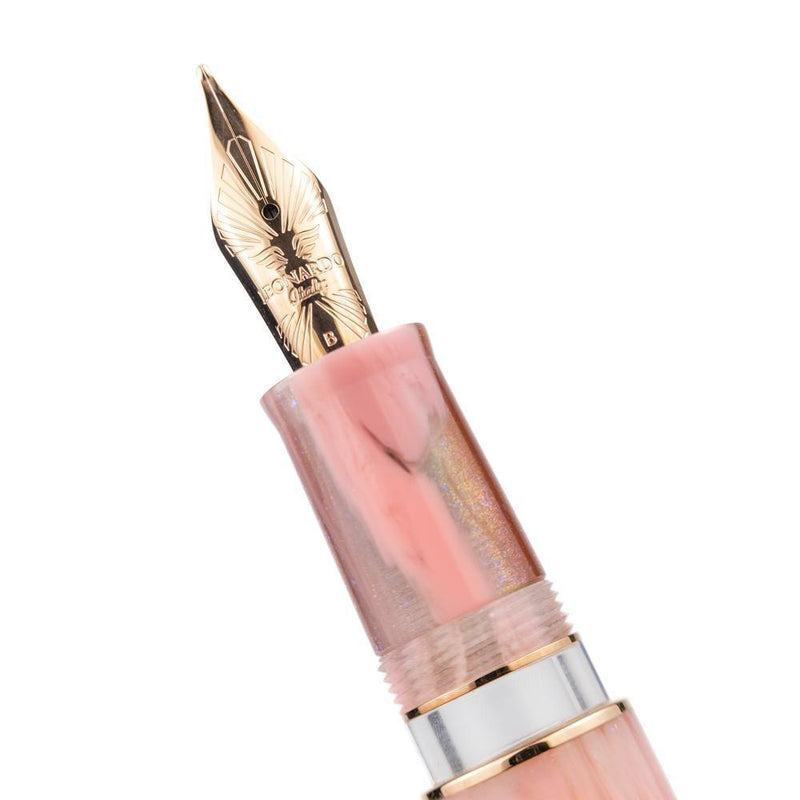 Leonardo × @karynalovestoplan - Momento Zero Grande 2.0 Winter Sunrise Fountain Pen Set