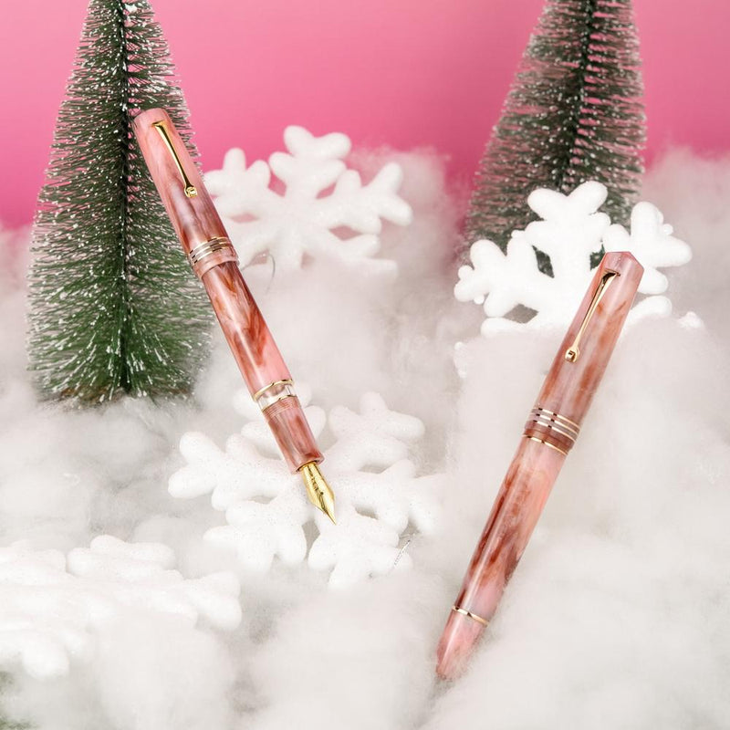 Leonardo × @karynalovestoplan - Momento Zero Grande 2.0 Winter Sunrise Fountain Pen Set