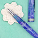 Leonardo × @nibsandflourishes Aster Bouquet Fountain Pen