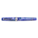 Leonardo × @nibsandflourishes Aster Bouquet Fountain Pen