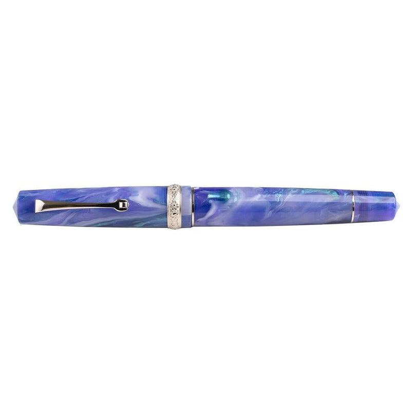 Leonardo × @nibsandflourishes Aster Bouquet Fountain Pen