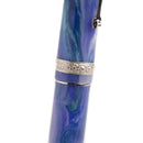 Leonardo × @nibsandflourishes Aster Bouquet Fountain Pen