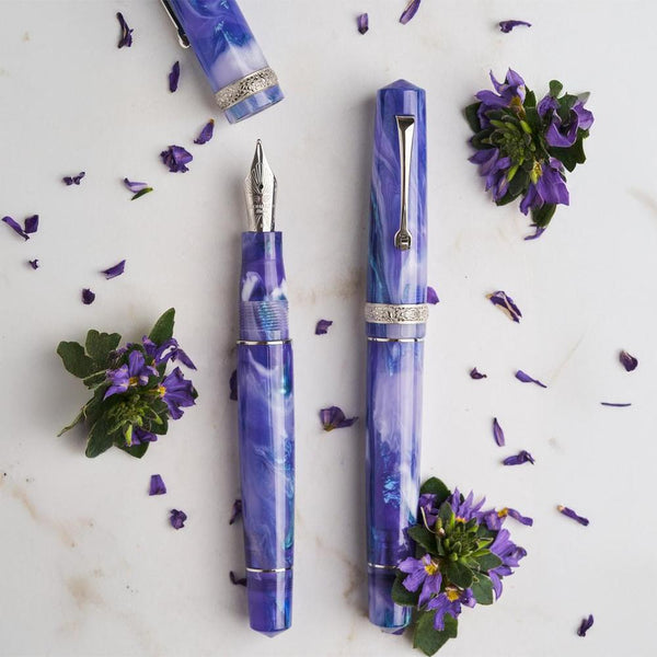 Leonardo × @nibsandflourishes Aster Bouquet Fountain Pen | EndlessPens