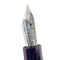 Leonardo × @nibsandflourishes Fioritura Viola (Rhodium Trim) Fountain Pen