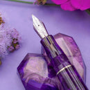 Leonardo × @nibsandflourishes Fioritura Viola (Rhodium Trim) Fountain Pen