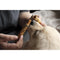 Leonardo × @twenty_sides Momento Zero Grande 2.0 Midas Fountain Pen - Pen Being Smelled By A White Dog | EndlessPens