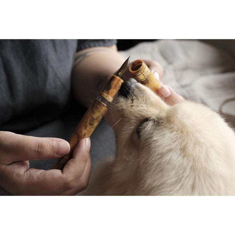 Leonardo × @twenty_sides Momento Zero Grande 2.0 Midas Fountain Pen - Pen Being Smelled By A White Dog | EndlessPens