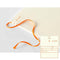 MD Paper Notebook - Diary - Thin (2026)
