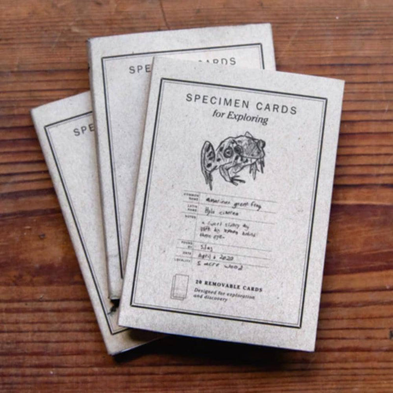 Peg and Awl Specimen Card Notebook