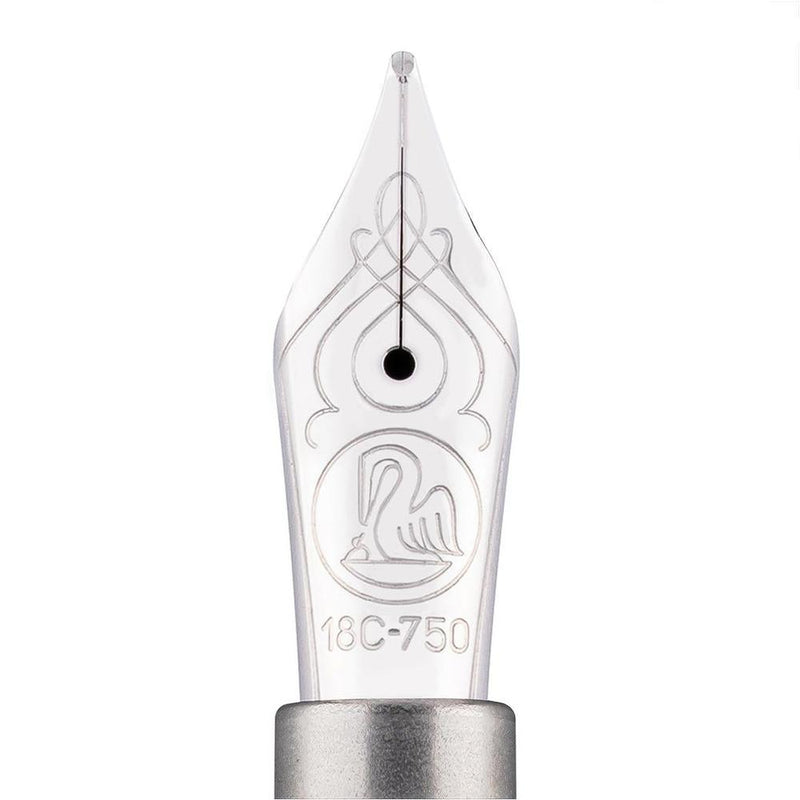 Pelikan Fountain Pen - M805 Metal Sleeve - Special Edition (2025)