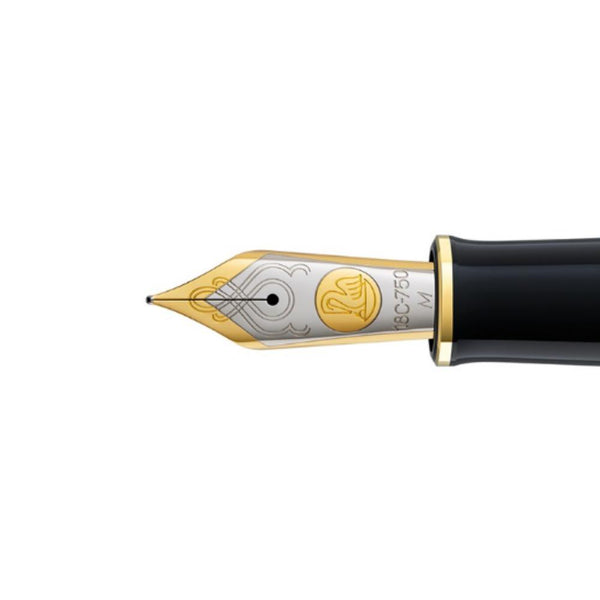 Pelikan-Nib-Part-18K-M700-Two-