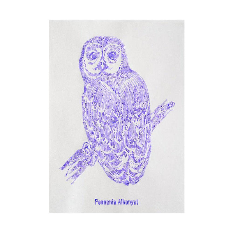 Pennonia Alkonyat Twilight Ink Bottle (60ml) - An Ink Drawing On Notebook | EndlessPens