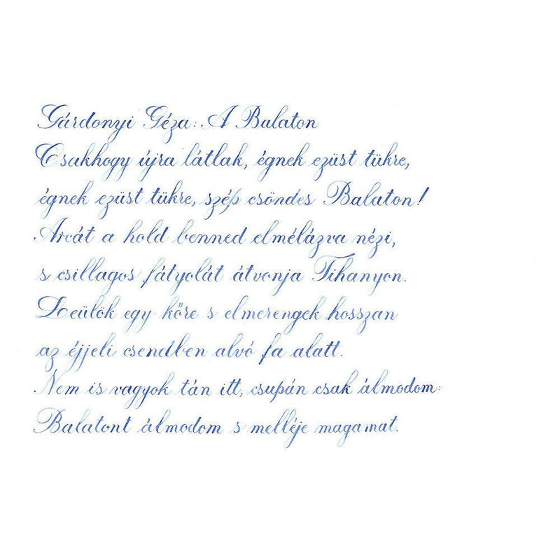 Pennonia Balaton-Kék Balaton-blue Ink Bottle (60ml) - A Close-Up Of A Text On Paper | EndlessPens