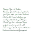 Pennonia Csillánt Nettle Ink Bottle 60ml - A Close-Up Of A Text On Paper | EndlessPens