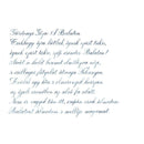 Pennonia Danuvius Danube Ink Bottle (60ml) - A Close-Up Of A Text On Paper | EndlessPens