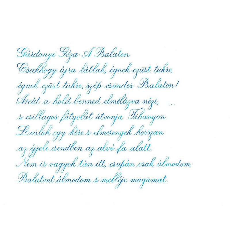 Pennonia Hupikék Whoopie Blue Ink Bottle (60ml) - A Close-Up Of A Text On Paper | EndlessPens