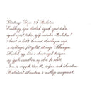 Pennonia Mustvörös Young Wine Ink Bottle (60ml) - A Close-Up Of A Text On Paper | EndlessPens