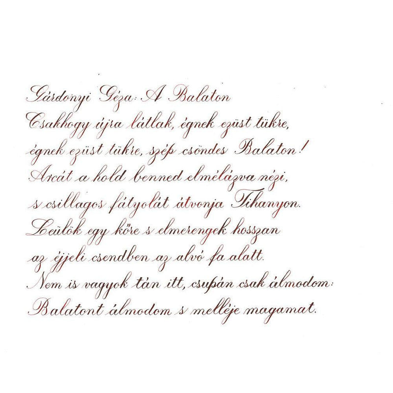 Pennonia Mustvörös Young Wine Ink Bottle (60ml) - A Close-Up Of A Text On Paper | EndlessPens