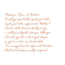 Pennonia Róka Koma Fox Friend Ink Bottle (60ml) - A Close-Up Of A Text On Paper | EndlessPens