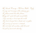 Pennonia Selyempezsgő Velvet Champagne Ink Bottle (60ml) - A Close-Up Of A Text On Paper | EndlessPens