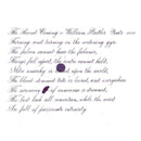 Pennonia Tihanyi Lila Purple of Tihany Ink Bottle (60ml) - A Close-Up Of A Text On Paper | EndlessPens