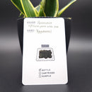 Pennonia × @from.pens.with.love Mythology Ink: Yggdrasil (30ml)