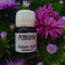 Pennonia × @nibsandflourishes Garden Delights: Aster Ink Bottle (30ml)
