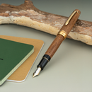 Pilot Fountain Pen - Custom Enju