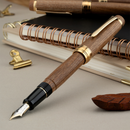 Pilot Fountain Pen - Custom Enju
