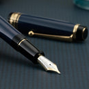 Pilot Fountain Pen - Custom 845
