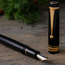 Pilot Fountain Pen - Custom 845