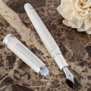 Platinum Fountain Pen -
